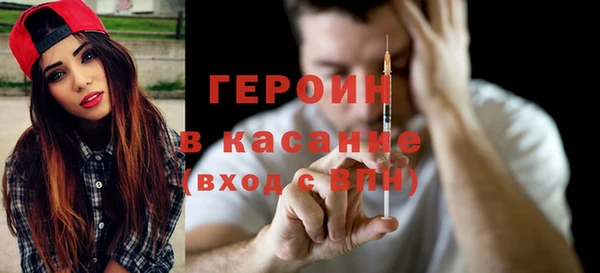 индика Бикин