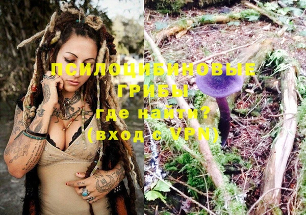 ГАЛЛЮЦИНОГЕННЫЕ ГРИБЫ Болотное